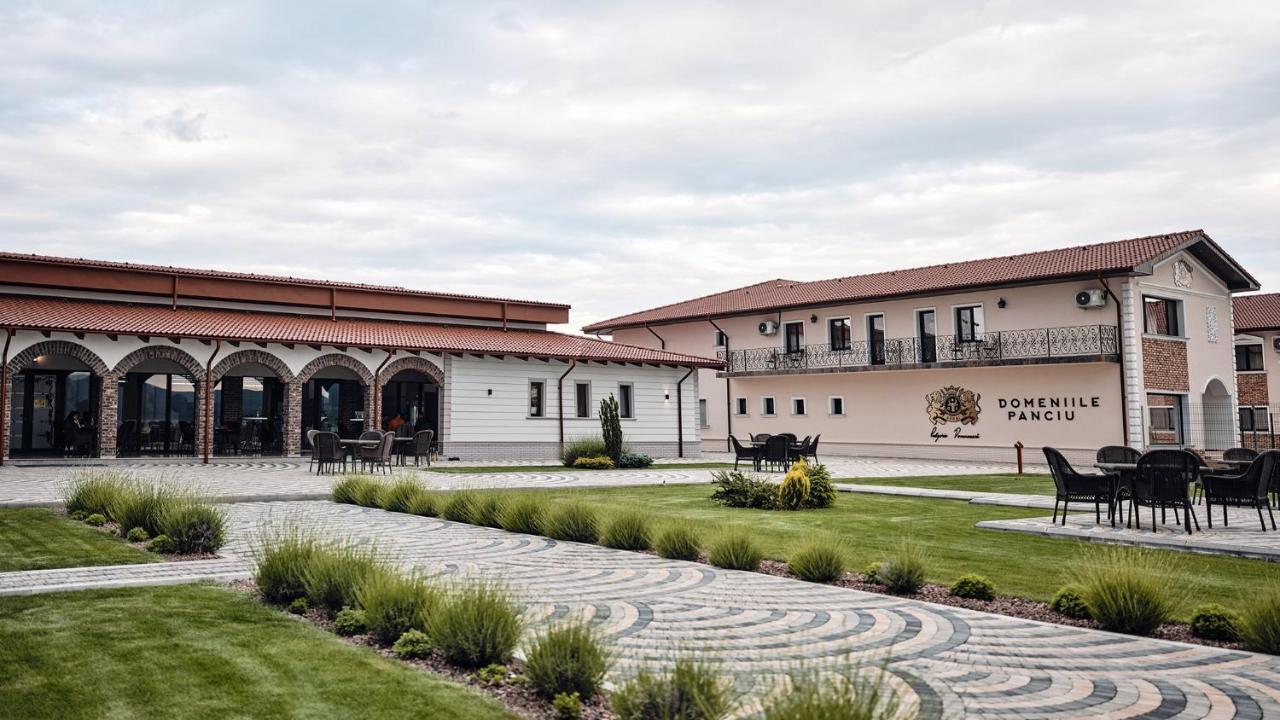 Domeniile Panciu Winery & 3*