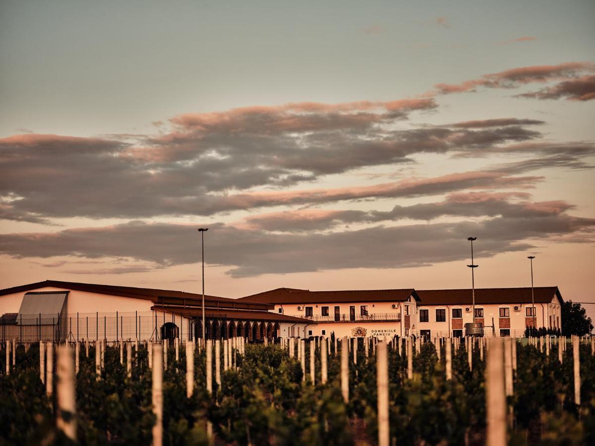 Hotel Domeniile Panciu Winery &