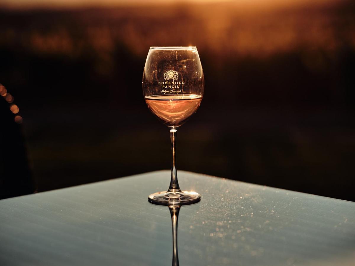 Hotel Domeniile Panciu Winery & Sarbi (Vrancea)