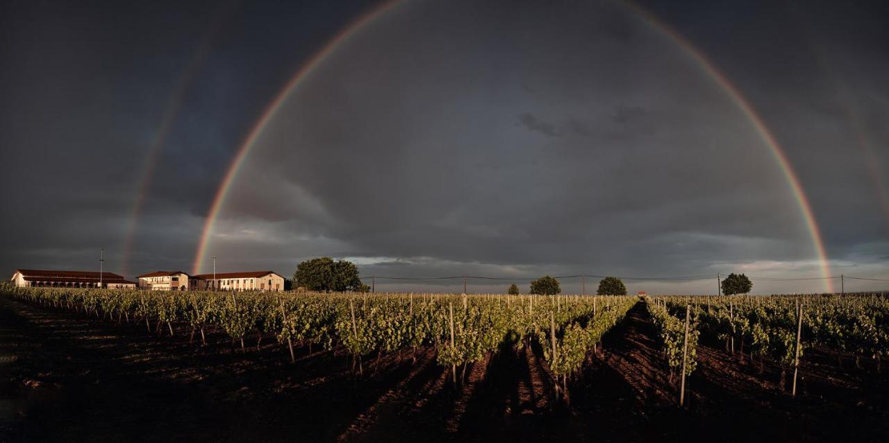 Hotel Domeniile Panciu Winery &