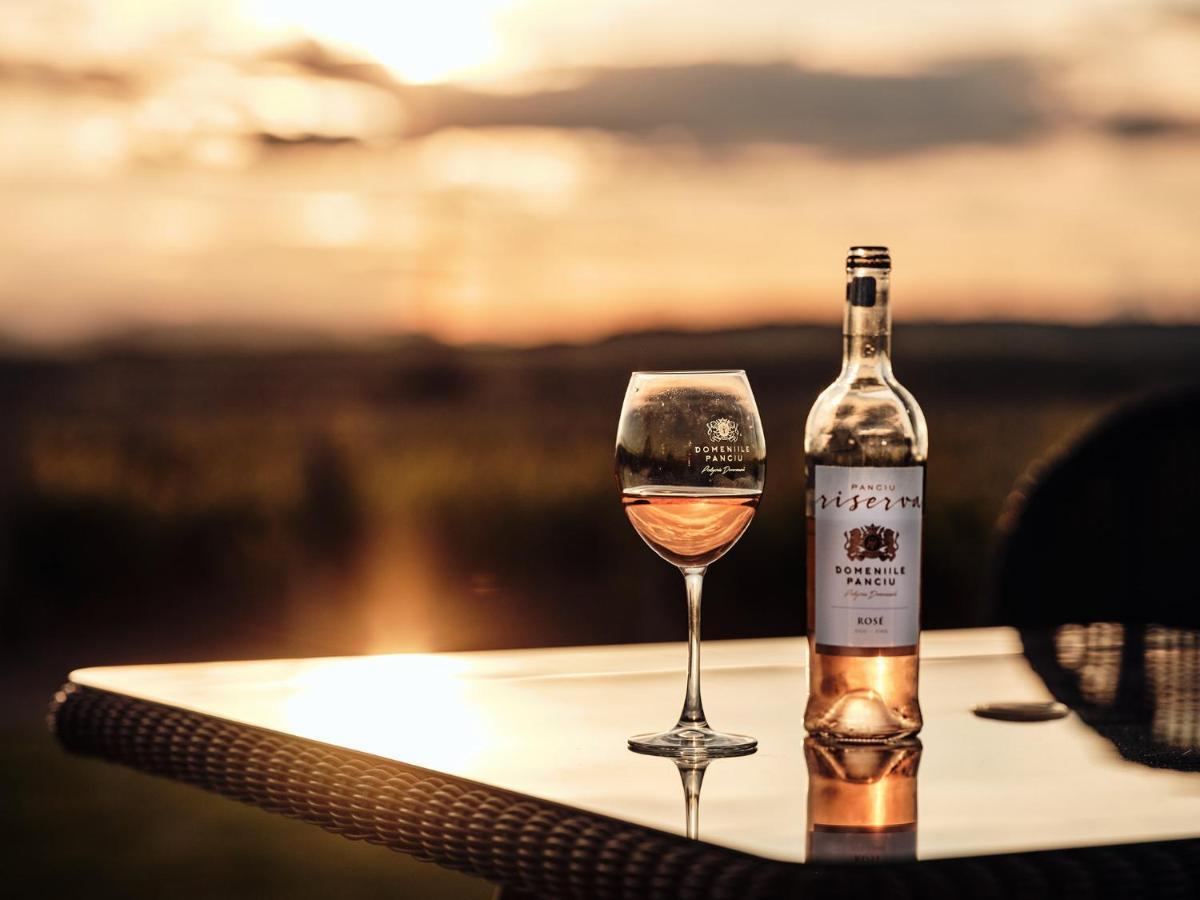 Domeniile Panciu Winery &