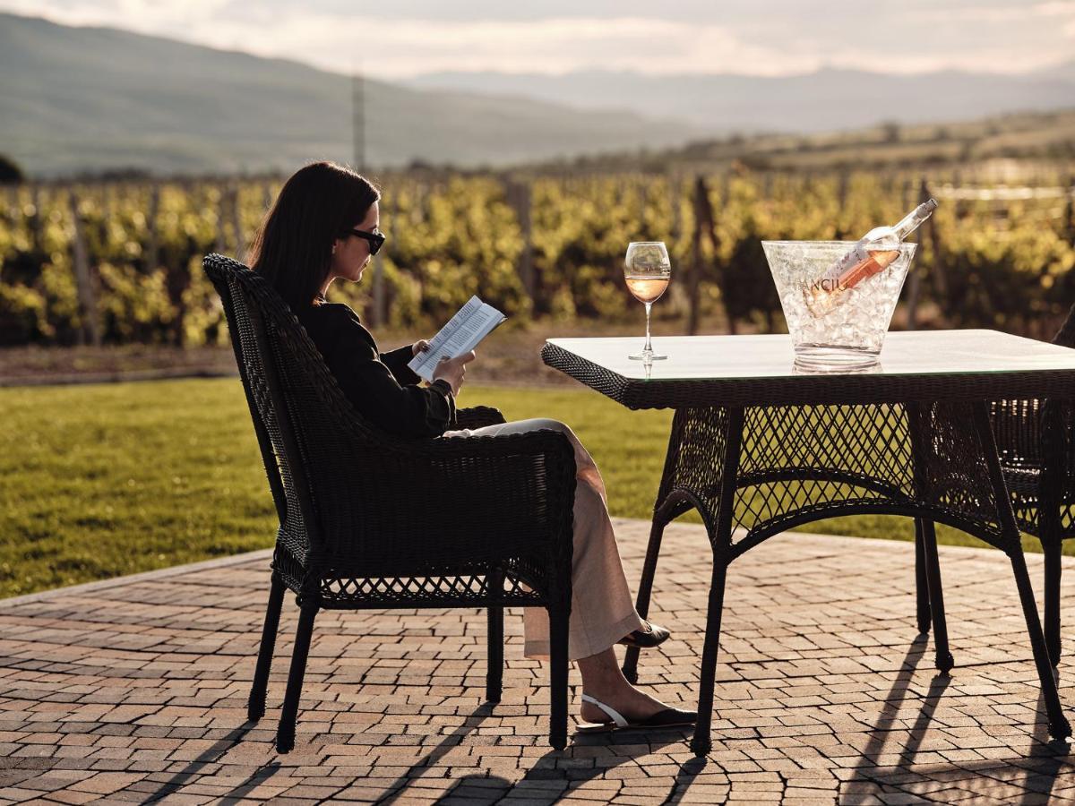 Domeniile Panciu Winery & 3* Sarbi (Vrancea)