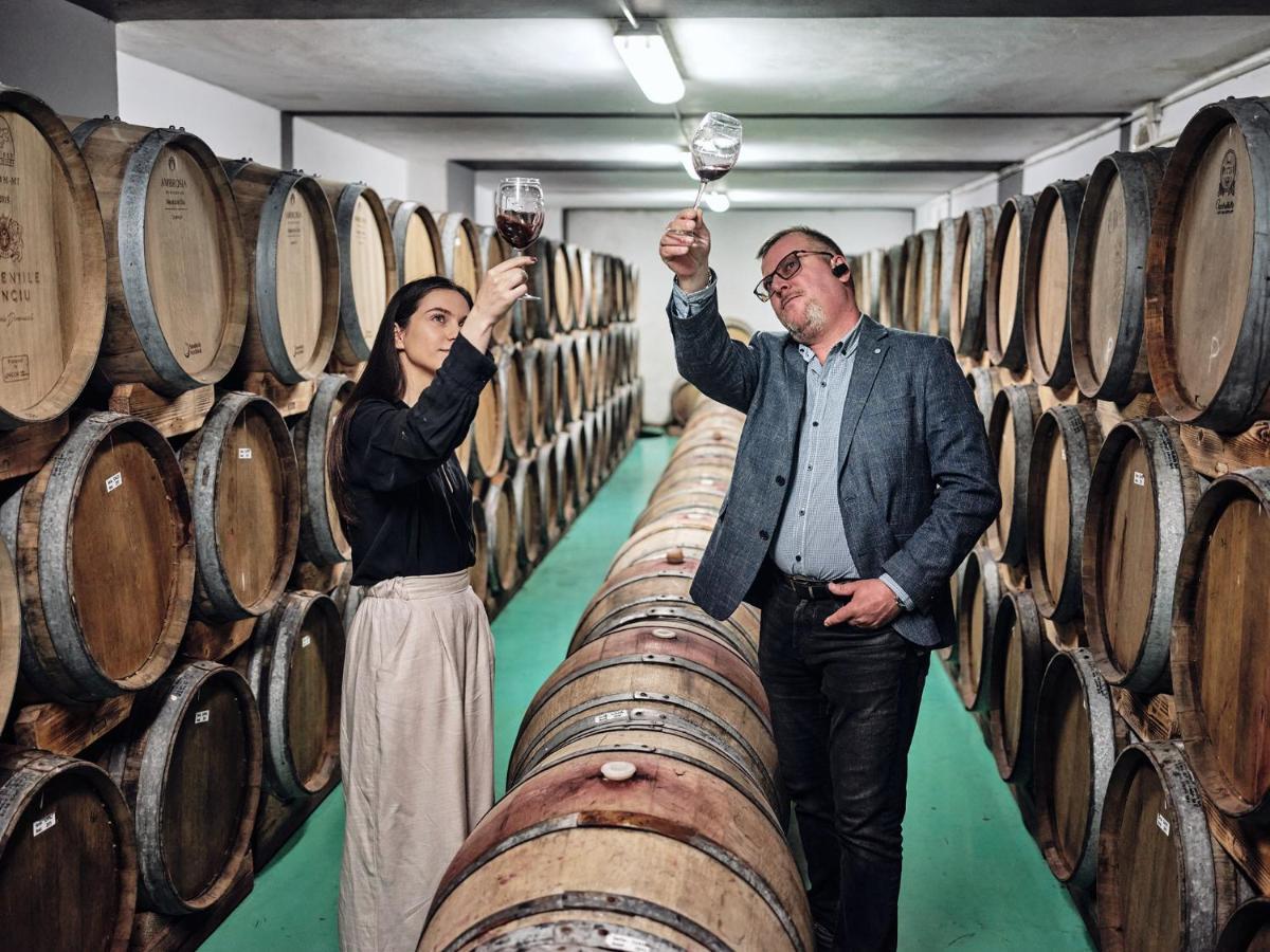 Hotel Domeniile Panciu Winery & 3*