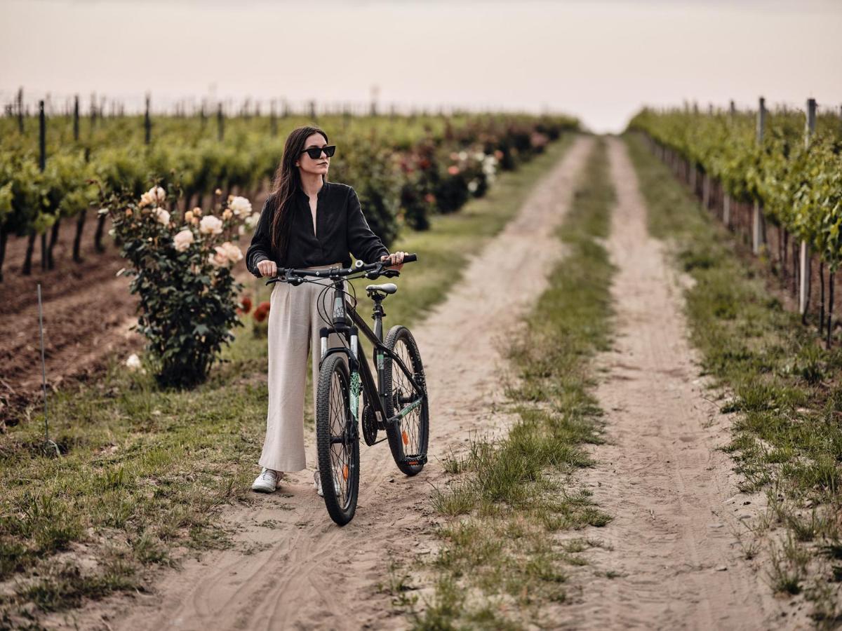 Domeniile Panciu Winery & Hotel