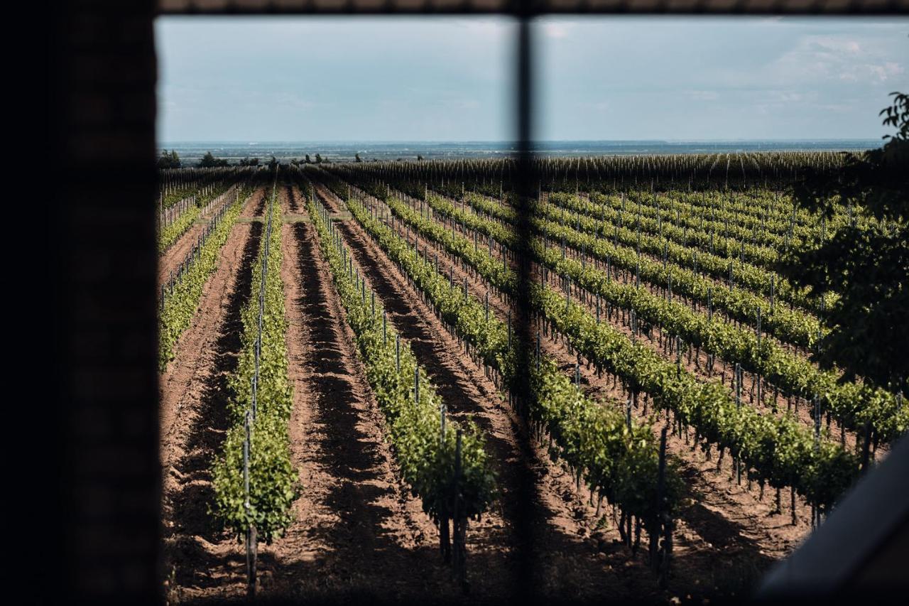Domeniile Panciu Winery & Hotel